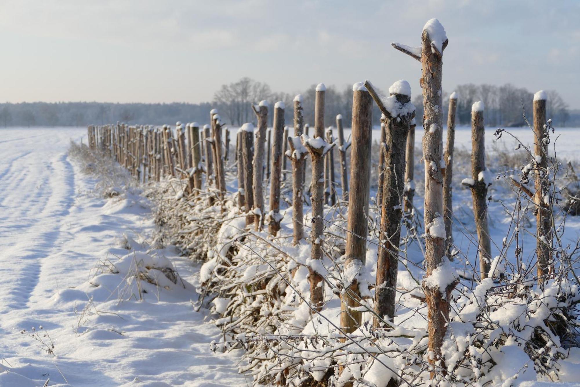Naturgarten Karlsfeld In Der Schoenen Lausitz Welzow ภายนอก รูปภาพ